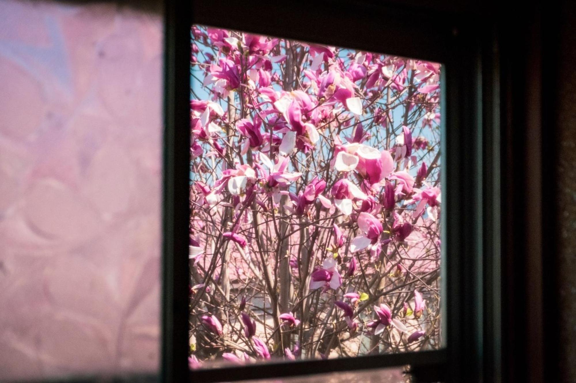 Honno Ryokan / Vacation Stay 60049 Yahaba المظهر الخارجي الصورة