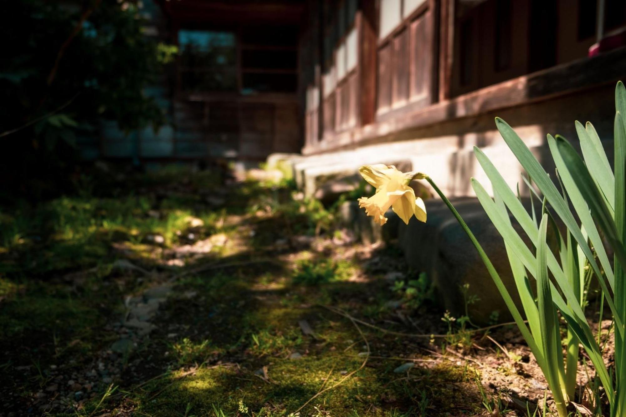 Honno Ryokan / Vacation Stay 60049 Yahaba المظهر الخارجي الصورة